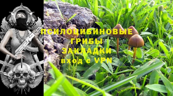 прущая мука Вязьма