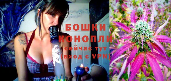 шишки Вязники