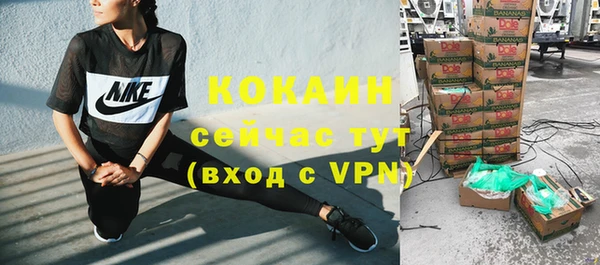 шишки Вязники
