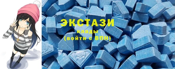шишки Вязники