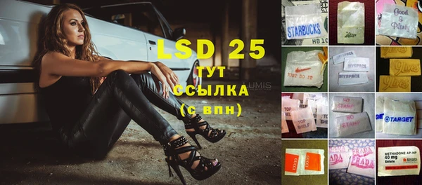 шишки Вязники