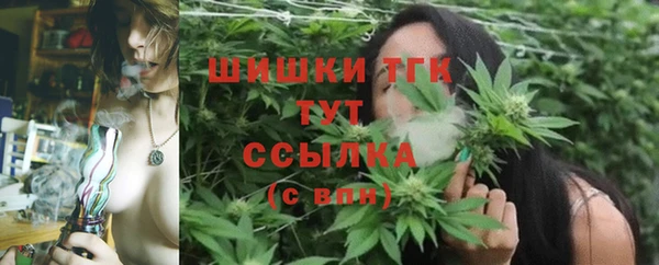 шишки Вязники