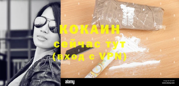 шишки Вязники