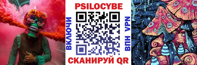 купить  сайты  Батайск  Галлюциногенные грибы Psilocybine cubensis 